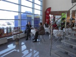 Pokaz Maszyn Budowlanych i Road Show Bobcat 03.04.2009