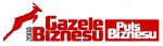 Gazele Biznesu 2008